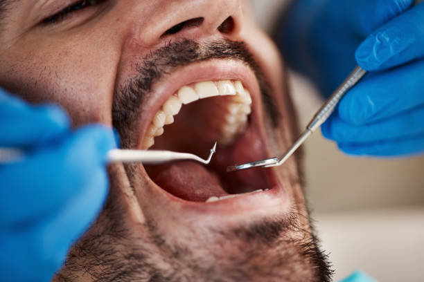 Professional Holistic Dental Care Services in Fulton, MS